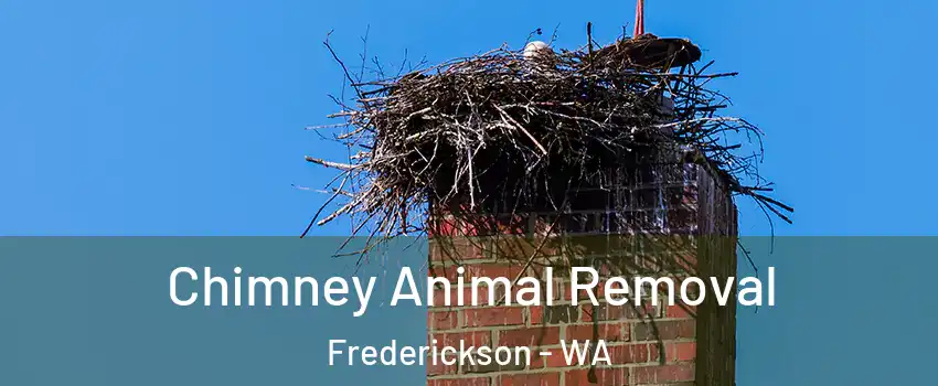  Chimney Animal Removal Frederickson - WA