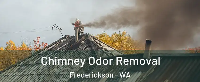  Chimney Odor Removal Frederickson - WA