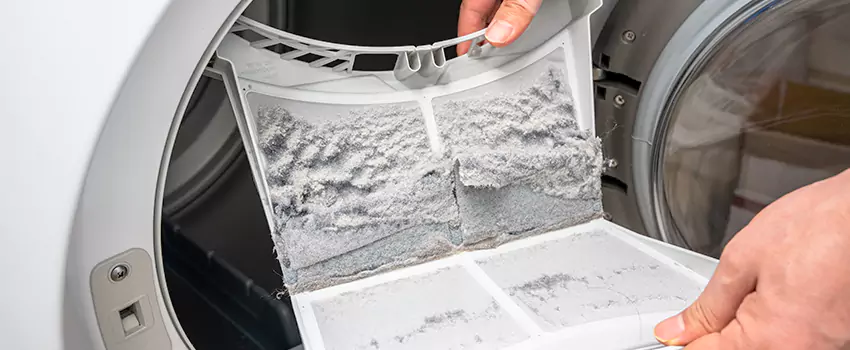 Best Dryer Lint Removal Company in Frederickson, Washington