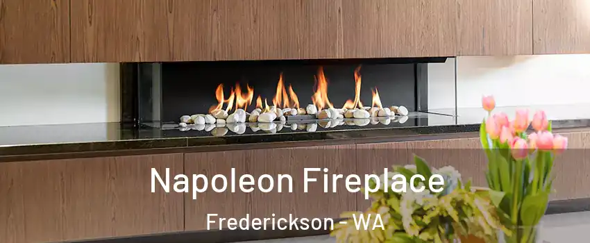  Napoleon Fireplace Frederickson - WA